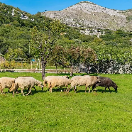 Rural Household Knez * Pobrezje