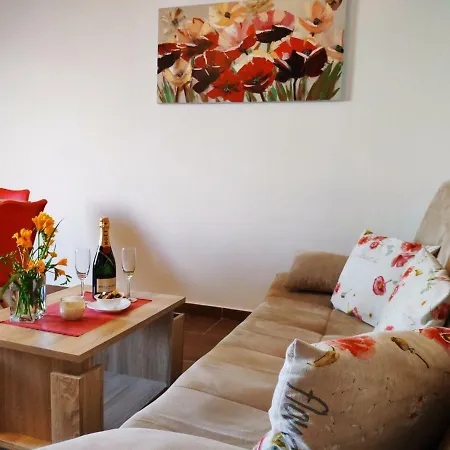 Appartement Rural Household Knez *